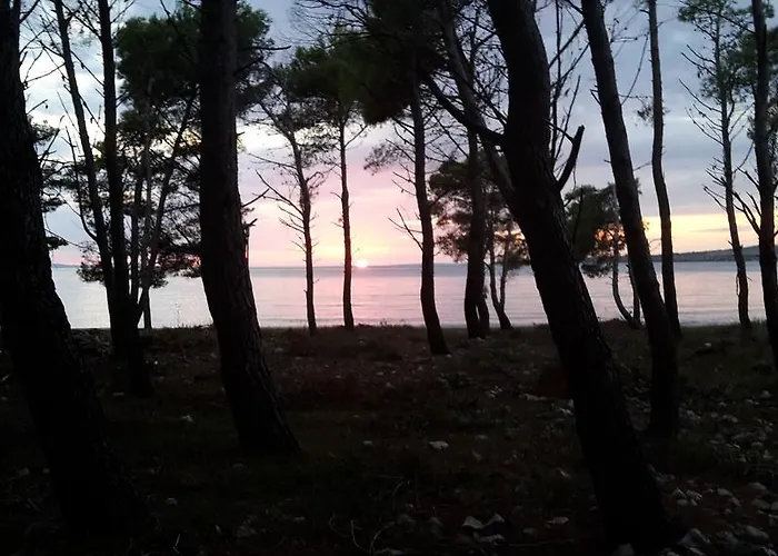 Daire Sunny Punta Privlaka (Zadar)