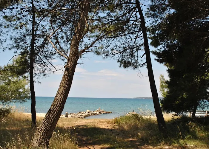 Sunny Punta * 普利拉卡