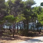 Sunny Punta Privlaka (Zadar)