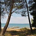 Sunny Punta * Privlaka (Zadar)