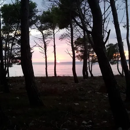 Apartmán Sunny Punta Privlaka (Zadar)
