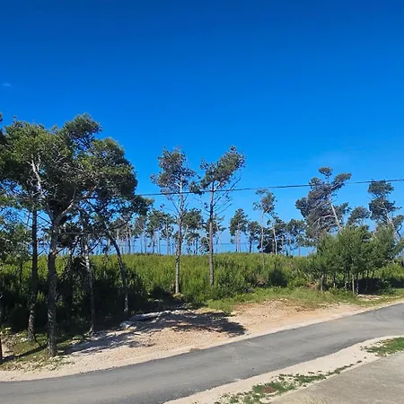 Sunny Punta بريفلاكا