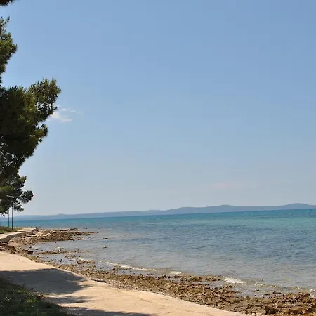 Sunny Punta