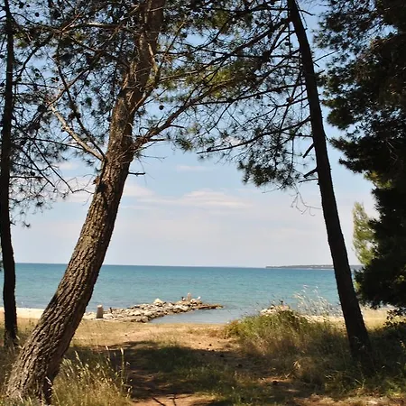 Sunny Punta * Privlaka (Zadar)