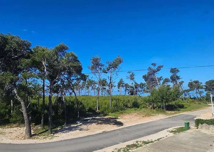 Sunny Punta Privlaka (Zadar)