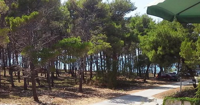 Sunny Punta Privlaka (Zadar)